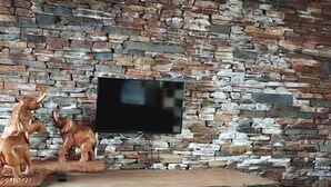 이그제큐티브 더블룸, 마당 전망 | TV