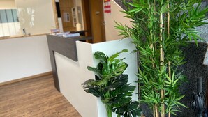 Zona de recepción con un mostrador, una planta y una planta de bambú.