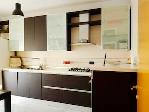 Oven, stovetop, dishwasher