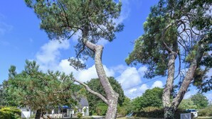 星評価なしの画像、5 / 32、ボタン