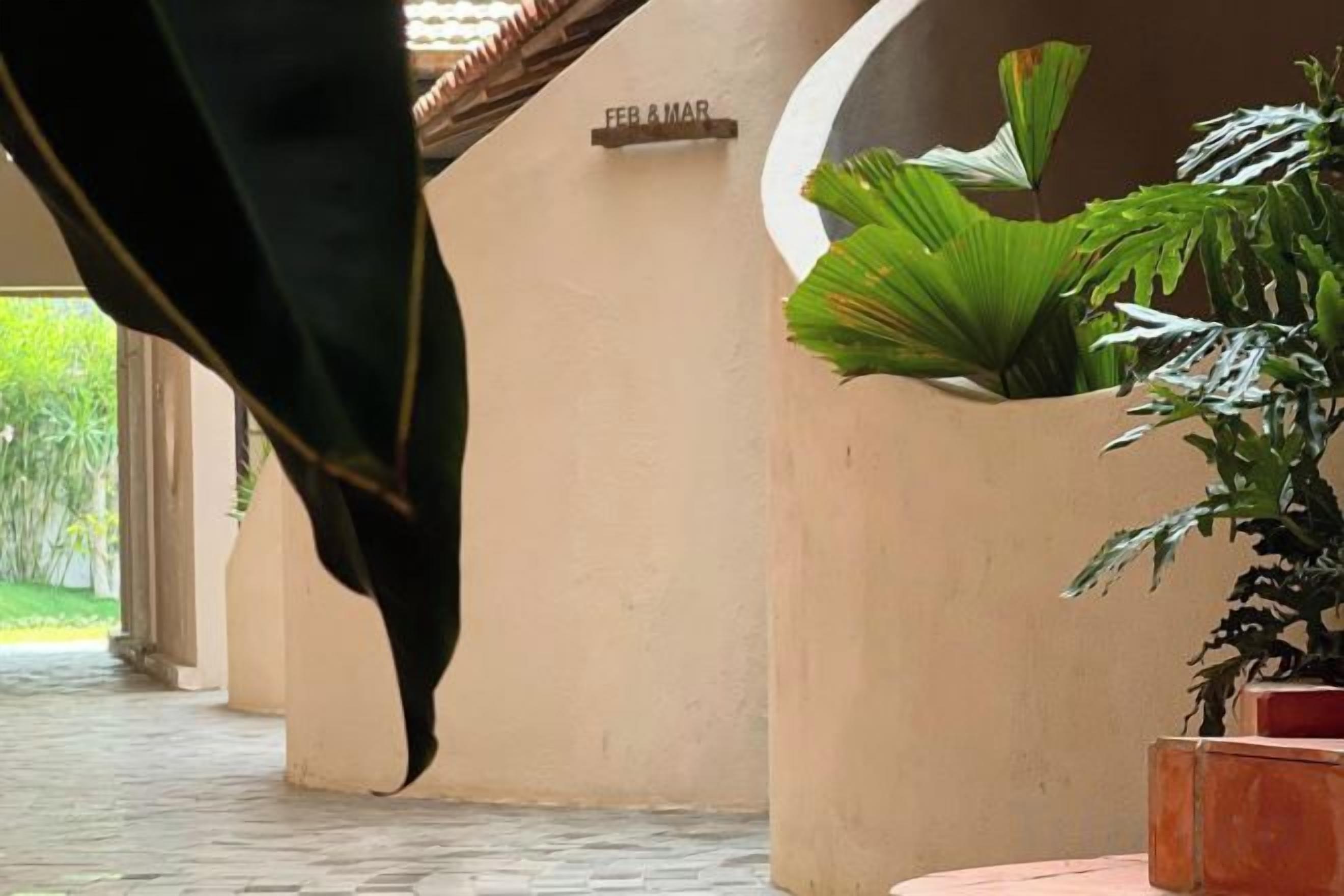 Un pasillo con una planta en maceta y un letrero que indica 'FEB & MAR'.