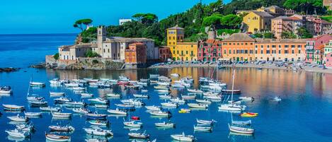 A coastal town with colorful buildings and numerous boats docked in the marina.