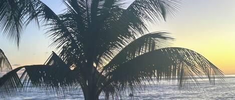 Vlak bij het strand, ligstoelen, strandlakens