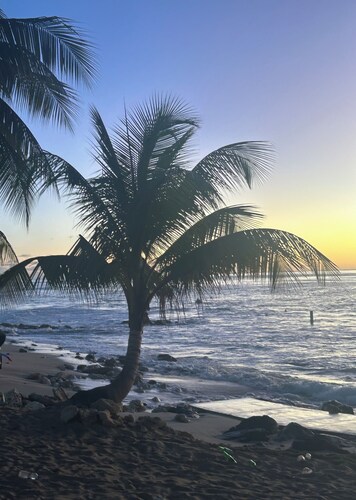 Luxury retreat with contemporary design less than 5 minutes walk to the beach