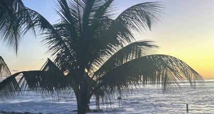 Luxury retreat with contemporary design less than 5 minutes walk to the beach