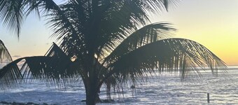 Luxury retreat with contemporary design less than 5 minutes walk to the beach