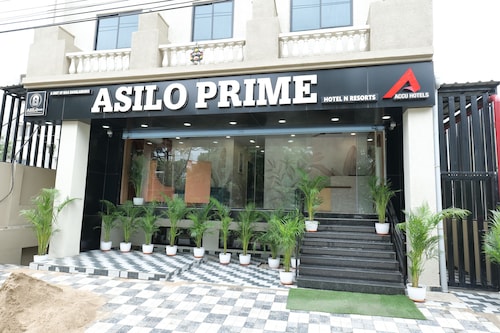 Asilo Prime 