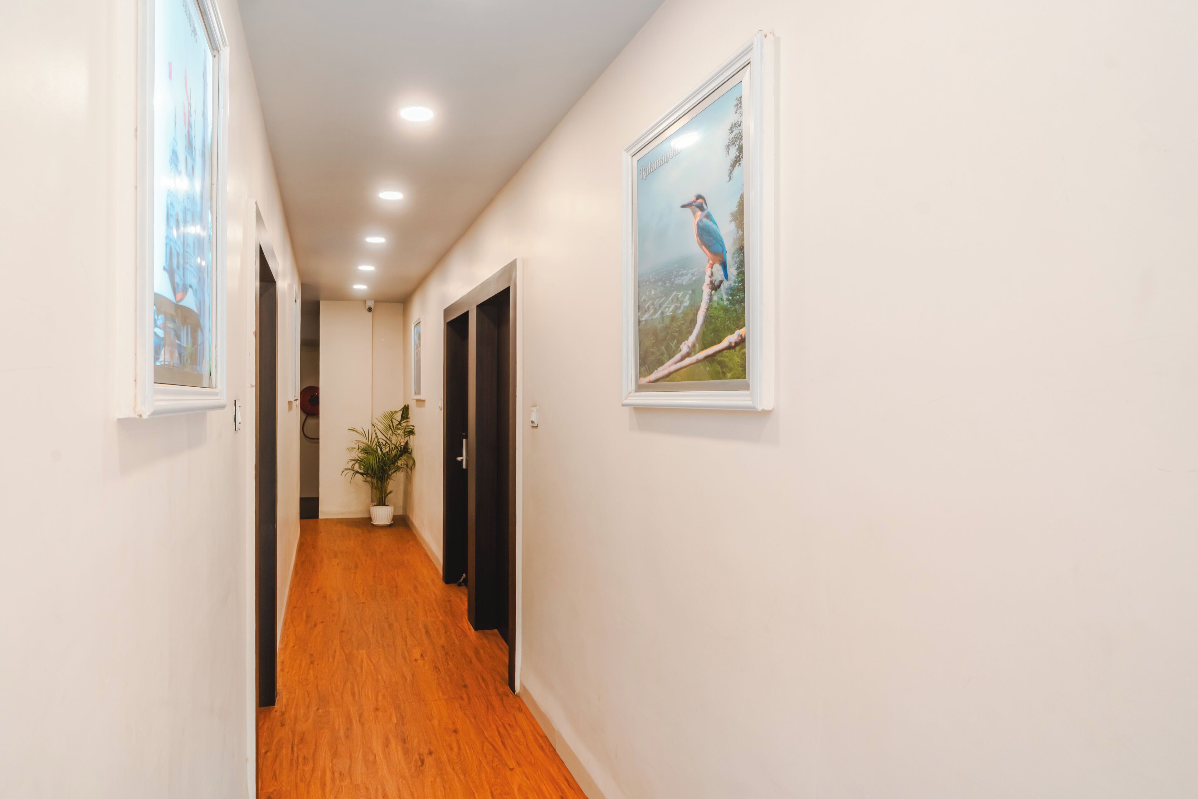 A hallway with wooden flooring, white walls, and framed pictures.