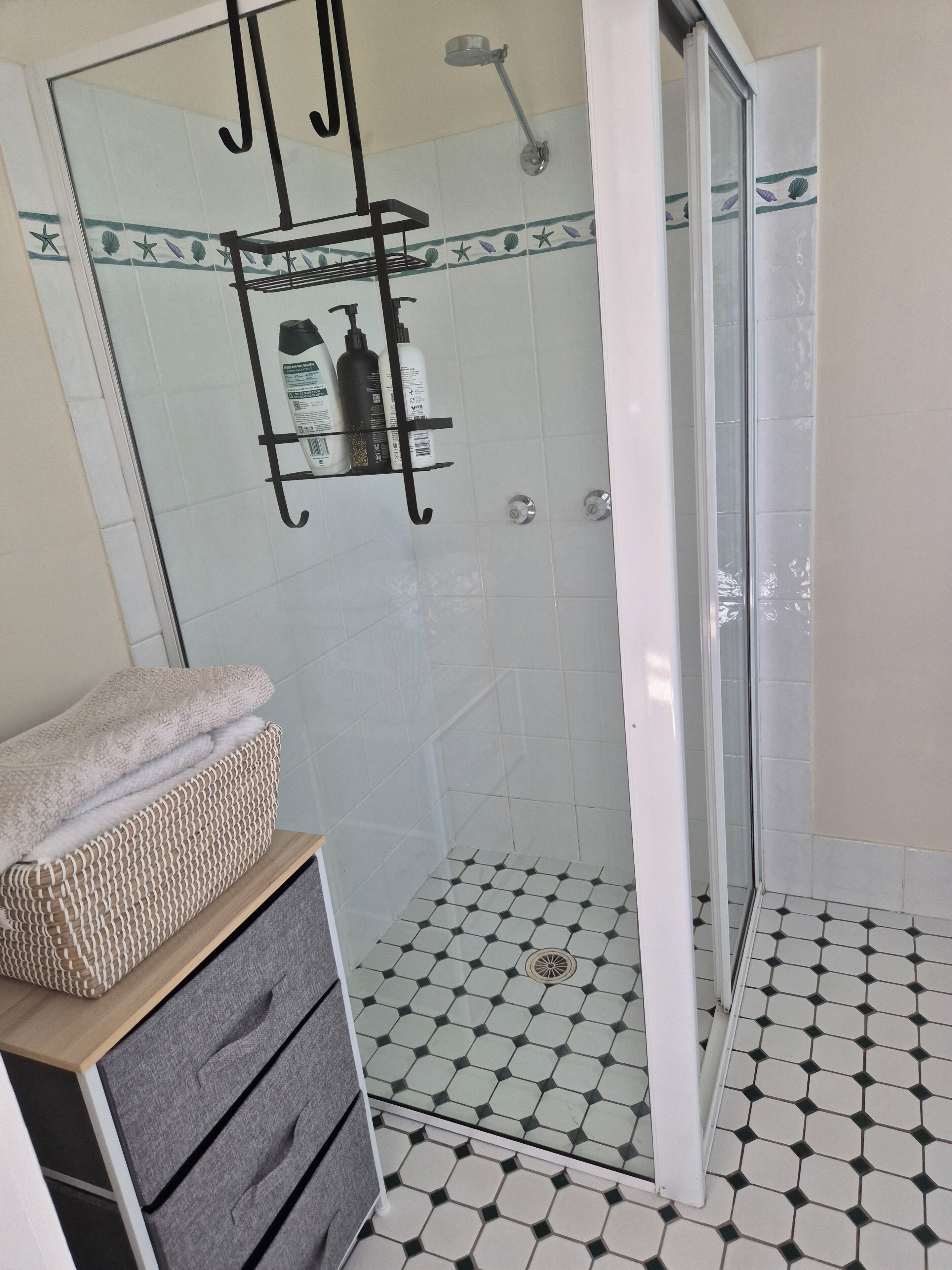 Shower, hair dryer, towels, soap