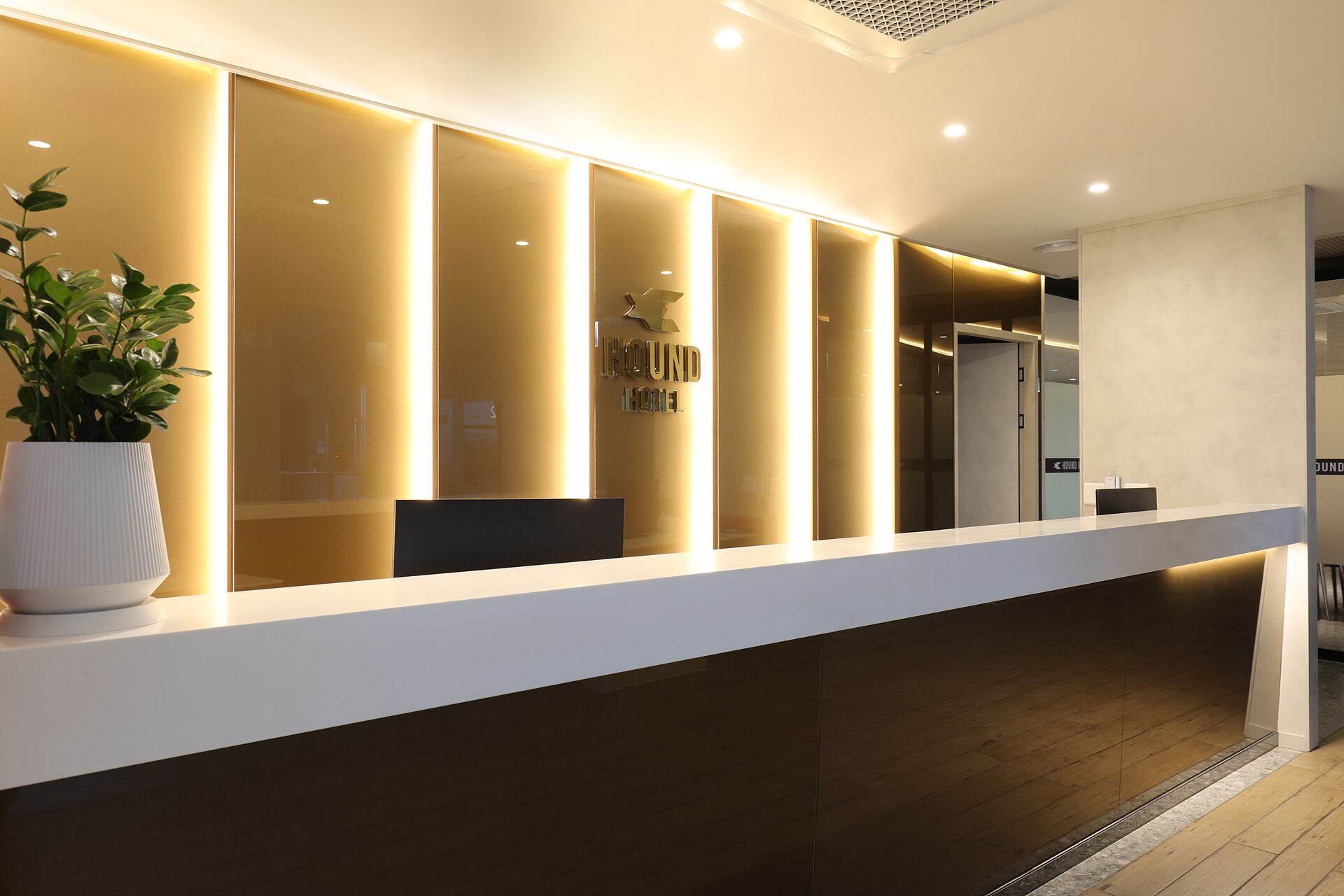 A modern reception desk with a white counter and a potted plant.