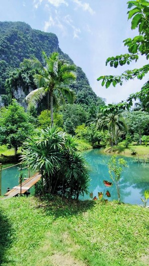 Villa, 2 Bedrooms, Accessible, Smoking | Garden - Blue River 2 Bedrooms Pool Villa (Krabi)