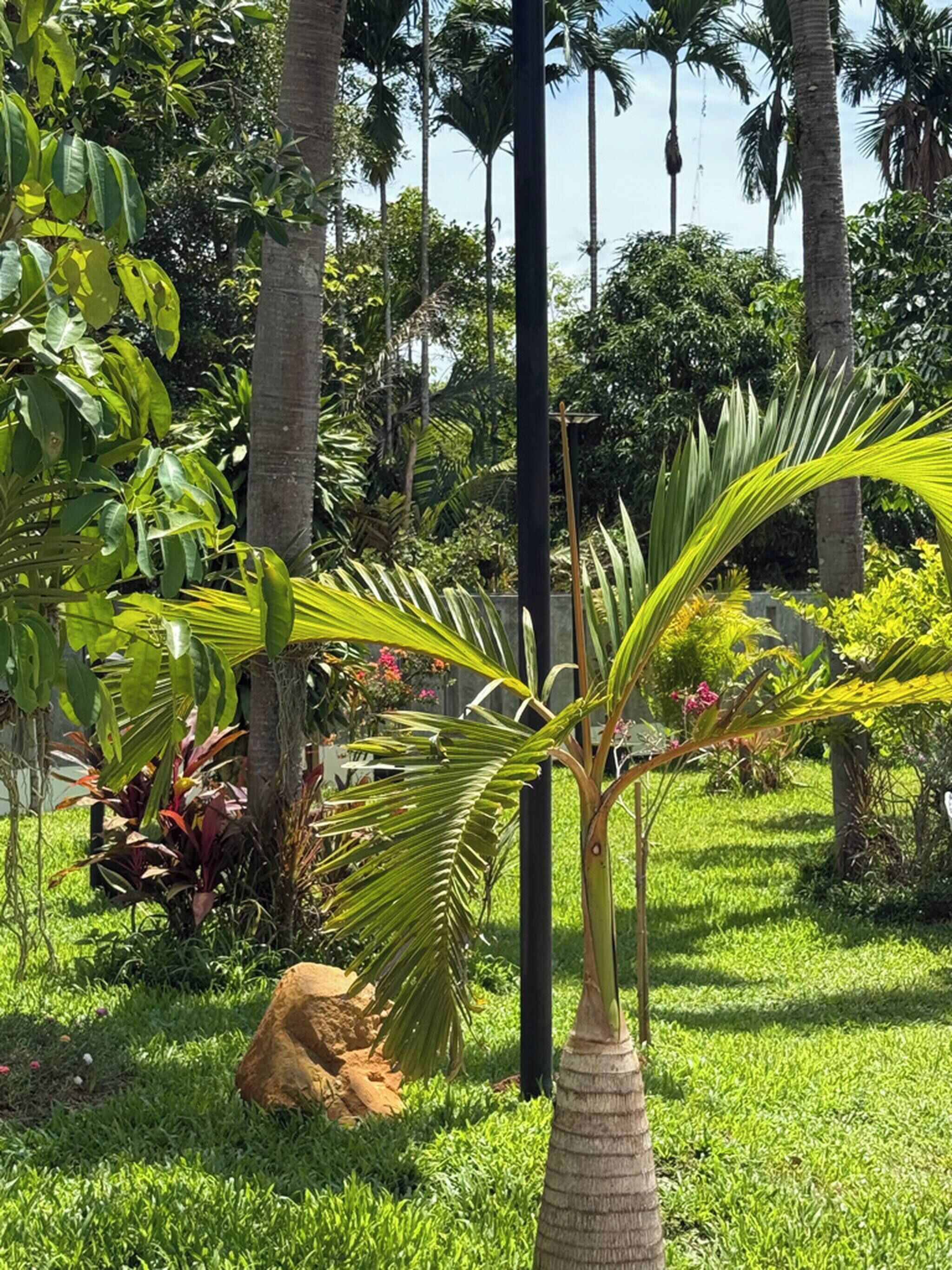 Villa, 5 Bedrooms, Accessible, Smoking | Property grounds