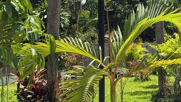 Villa, 5 Bedrooms, Accessible, Smoking | Property grounds