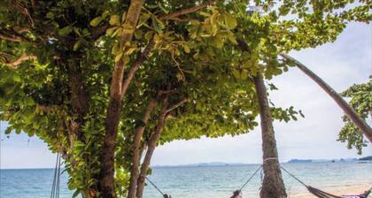 Jaccuzi House 5 pl 200 m From a Beautiful Beach