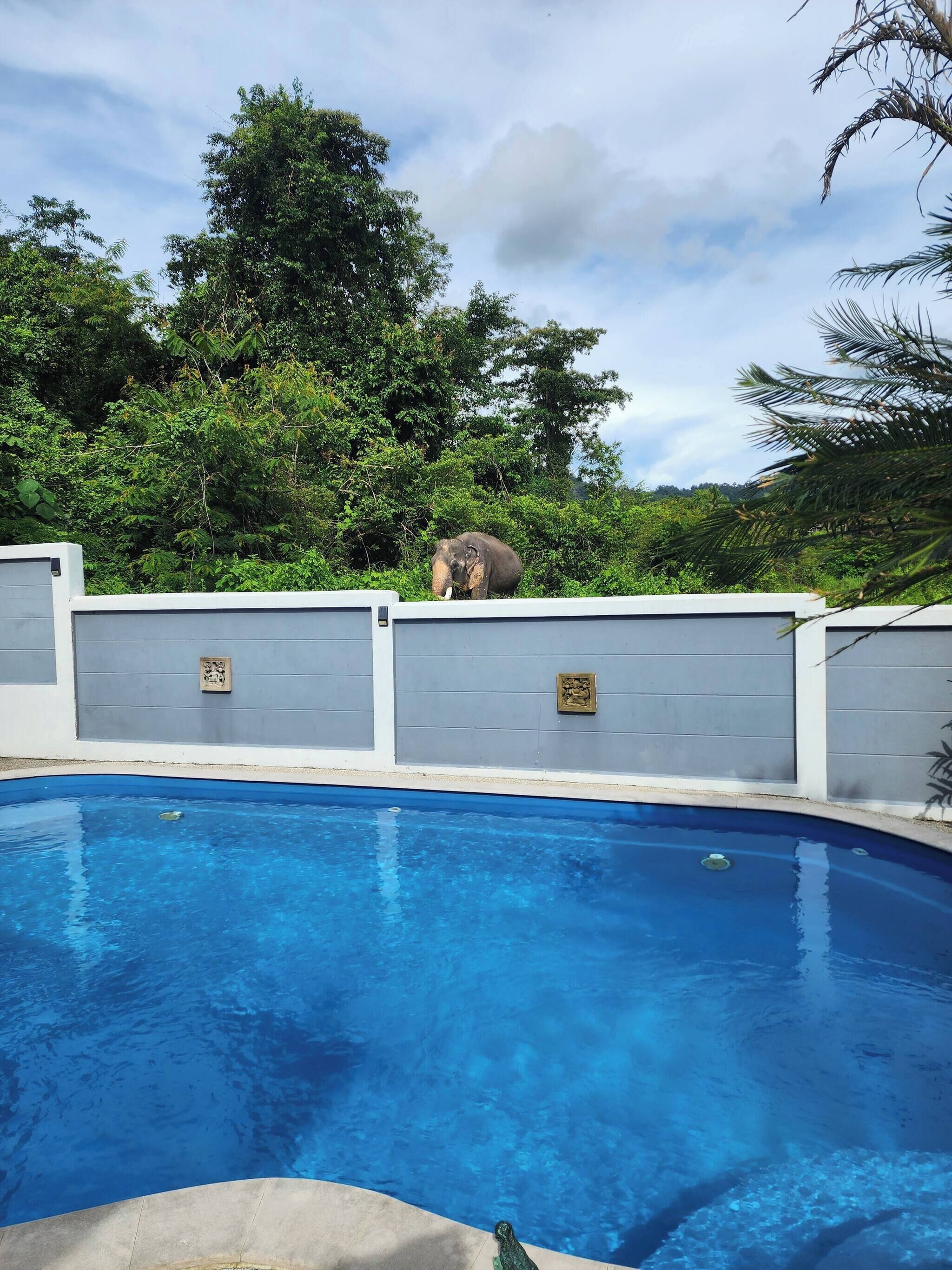 Una piscina al aire libre