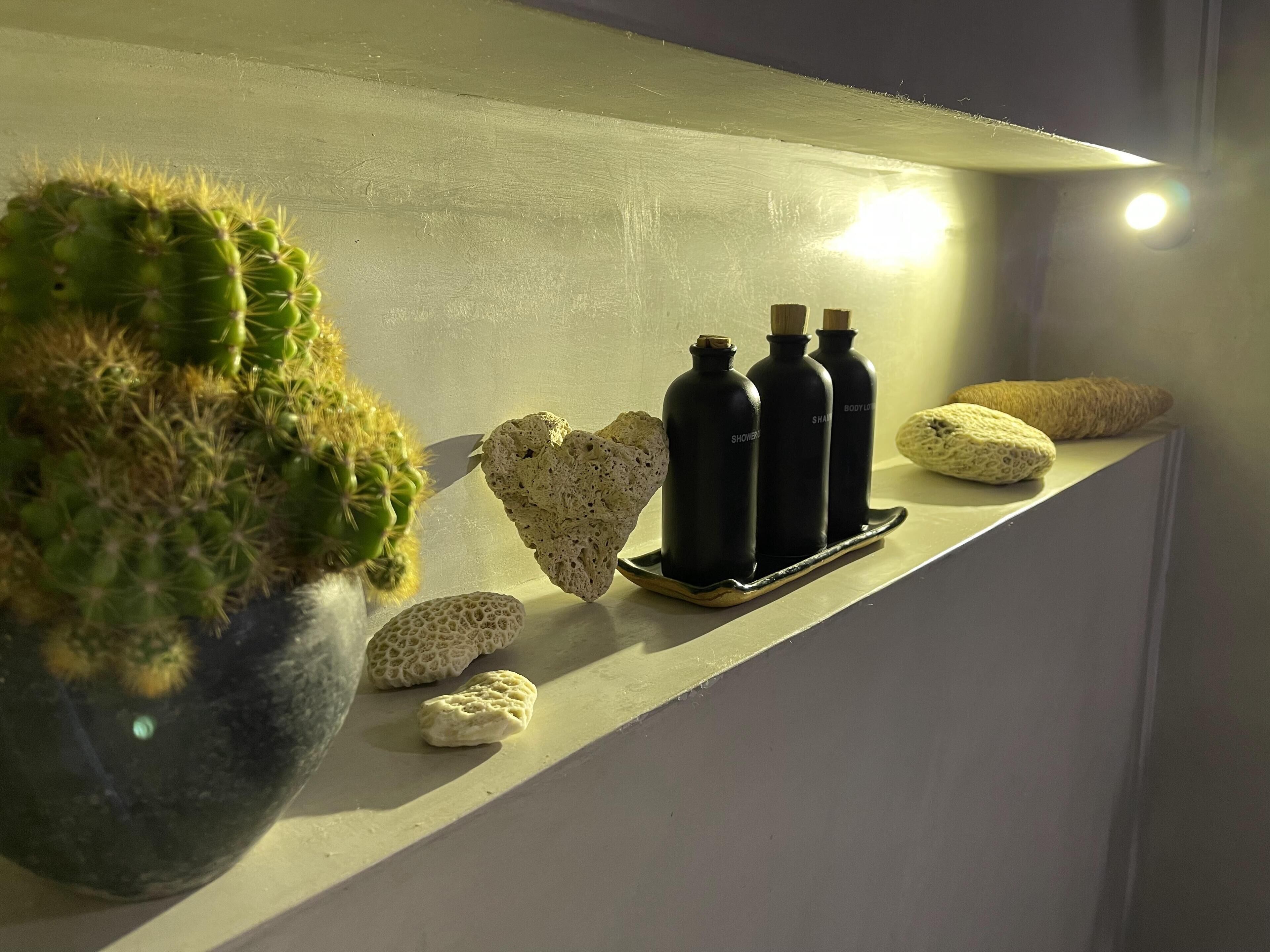 A shelf with a cactus, two black bottles labeled "SHOWER" and "BODY LOTUS," and a heart-shaped rock.