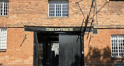 The Ostrich