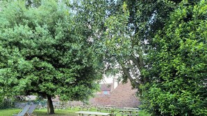 A picnic area with wooden benches and striped chairs, surrounded by lush greenery and trees. - The Ostrich (Castle Acre)