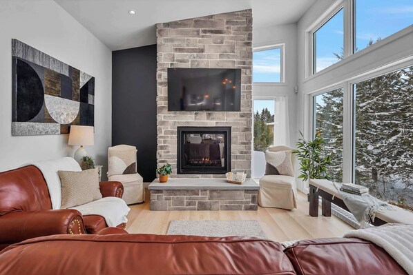 TV, fireplace, offices