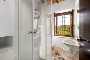 シャワー、ヘアドライヤー、タオル、トイレットペーパー