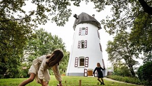 Ein weißer Turm mit roten Fensterläden und einem schwarzen Dach, umgeben von Grünpflanzen und Bäumen.