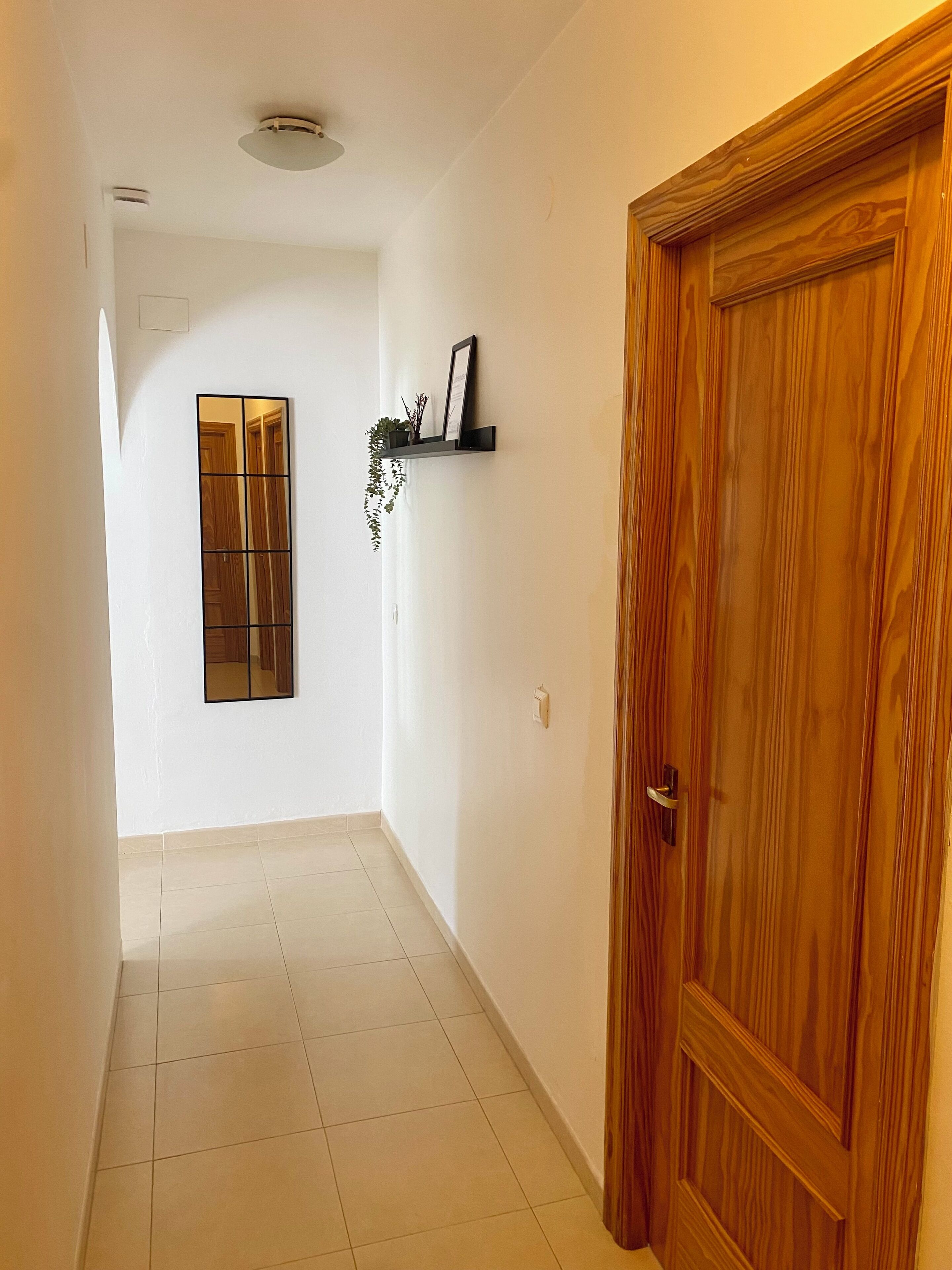 A hallway with white walls, a wooden door, a tiled floor, a ceiling light, and a shelf with a plant and picture frame.