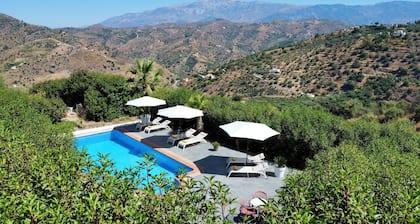 Sobremesa Boutique