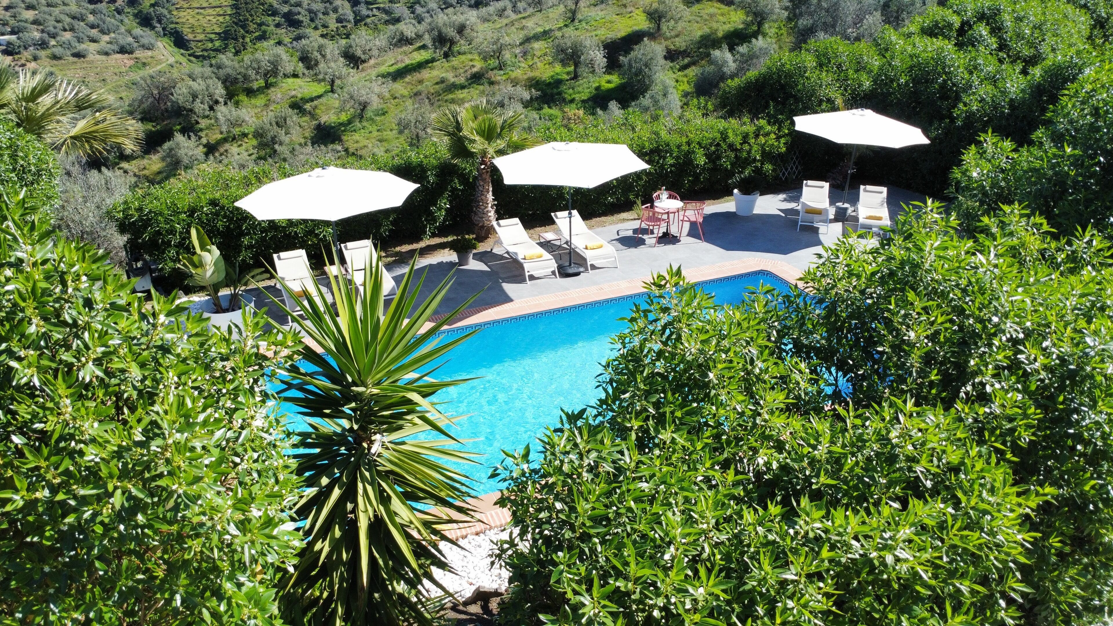 Ein Pool mit Liegestühlen und Sonnenschirmen, umgeben von Grün.