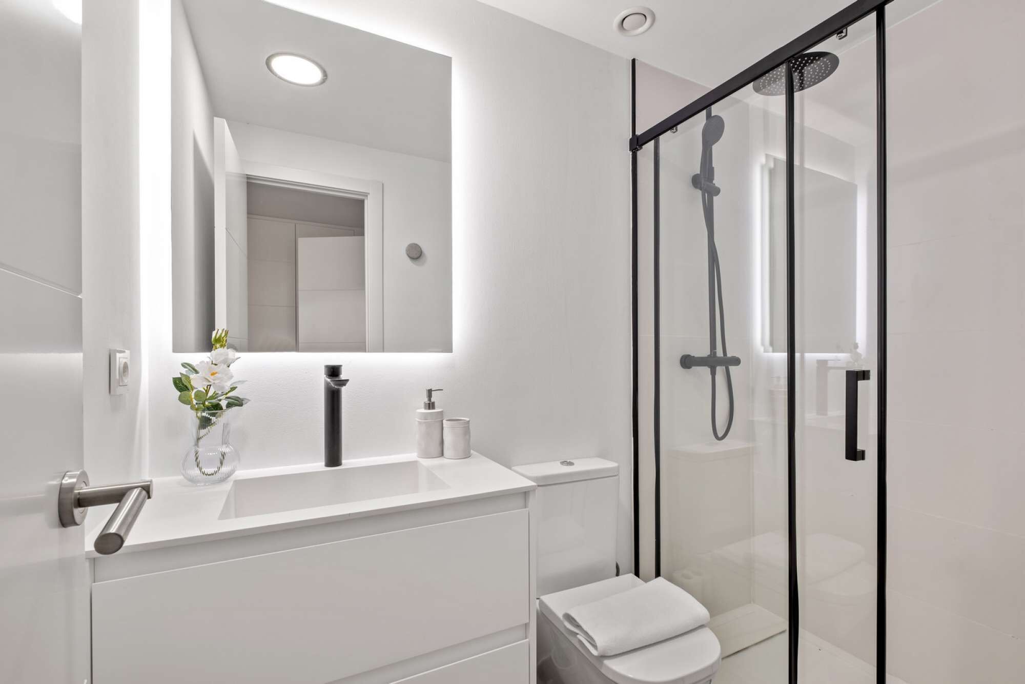 Shower, hair dryer, bidet, towels