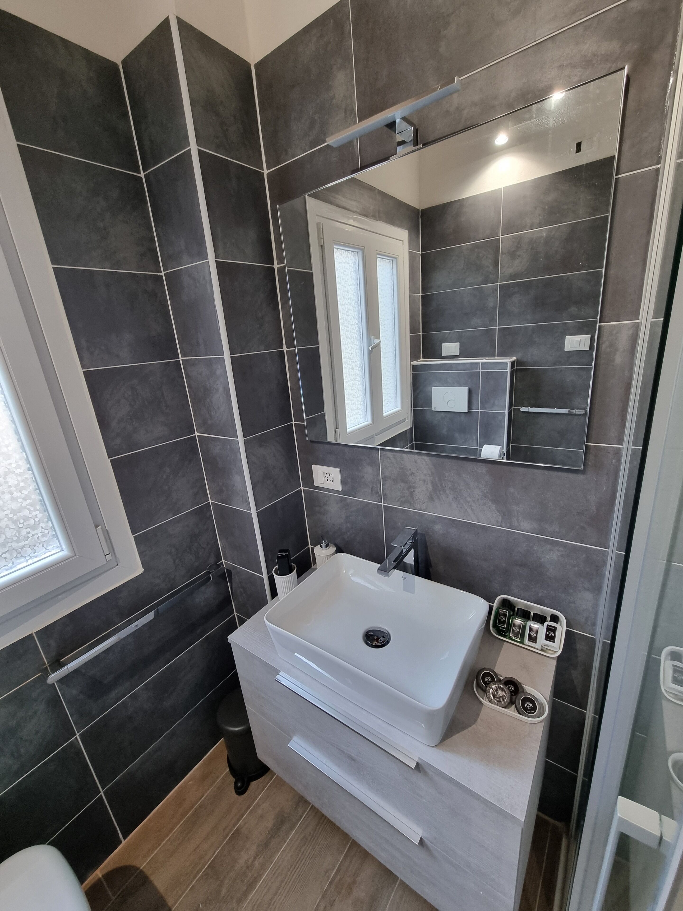 Regadera, secadora de cabello, bidet, toallas 