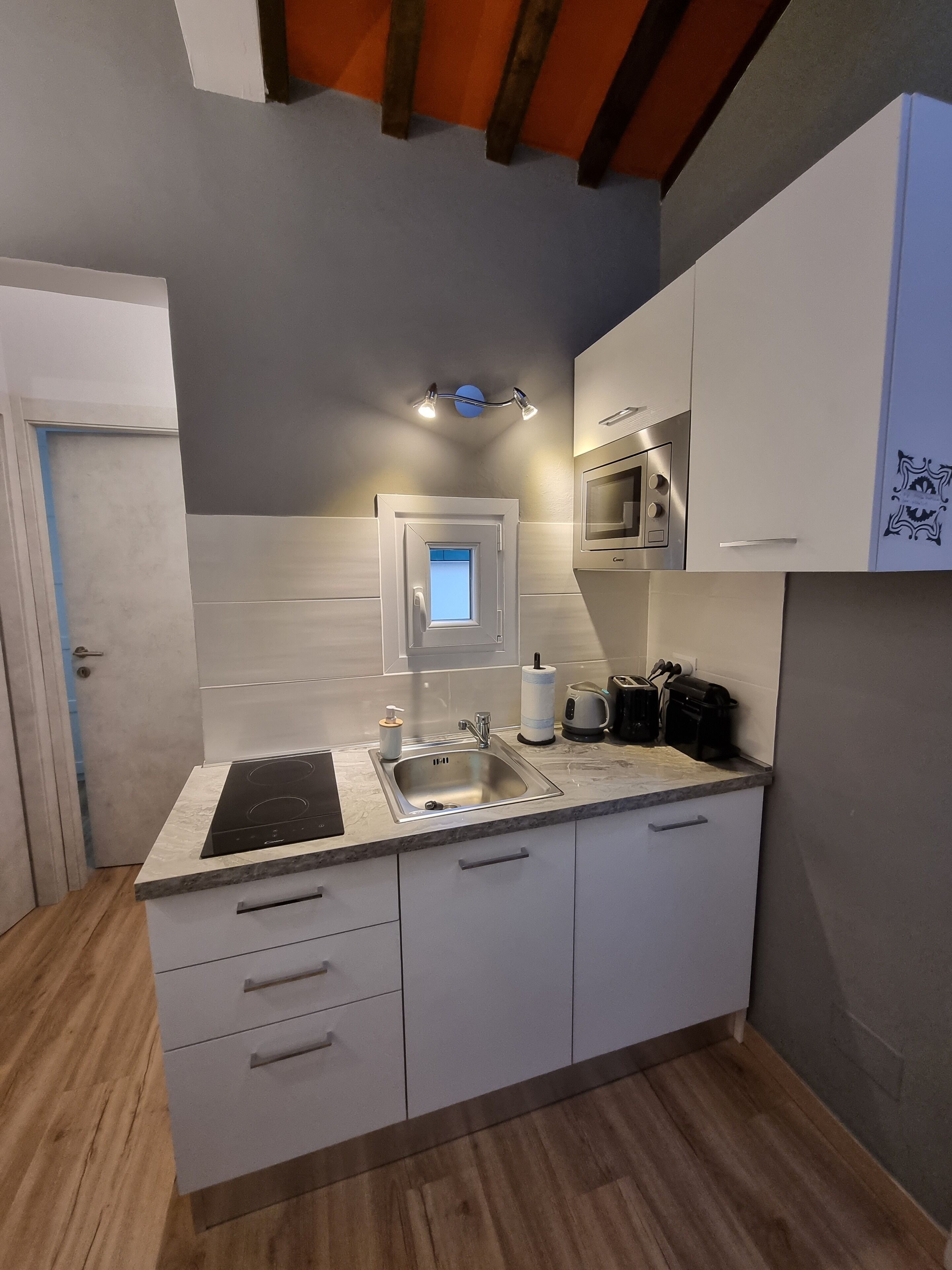 Microondas y placa de cocina