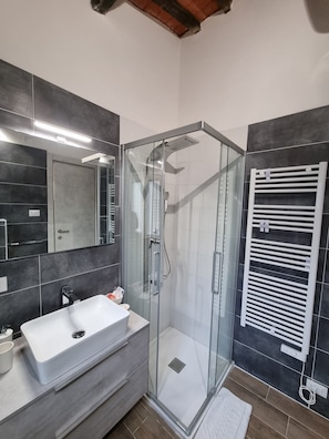 Shower, hair dryer, bidet, towels
