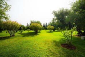Property grounds - Villa Stevana (Oulad Hassoune)