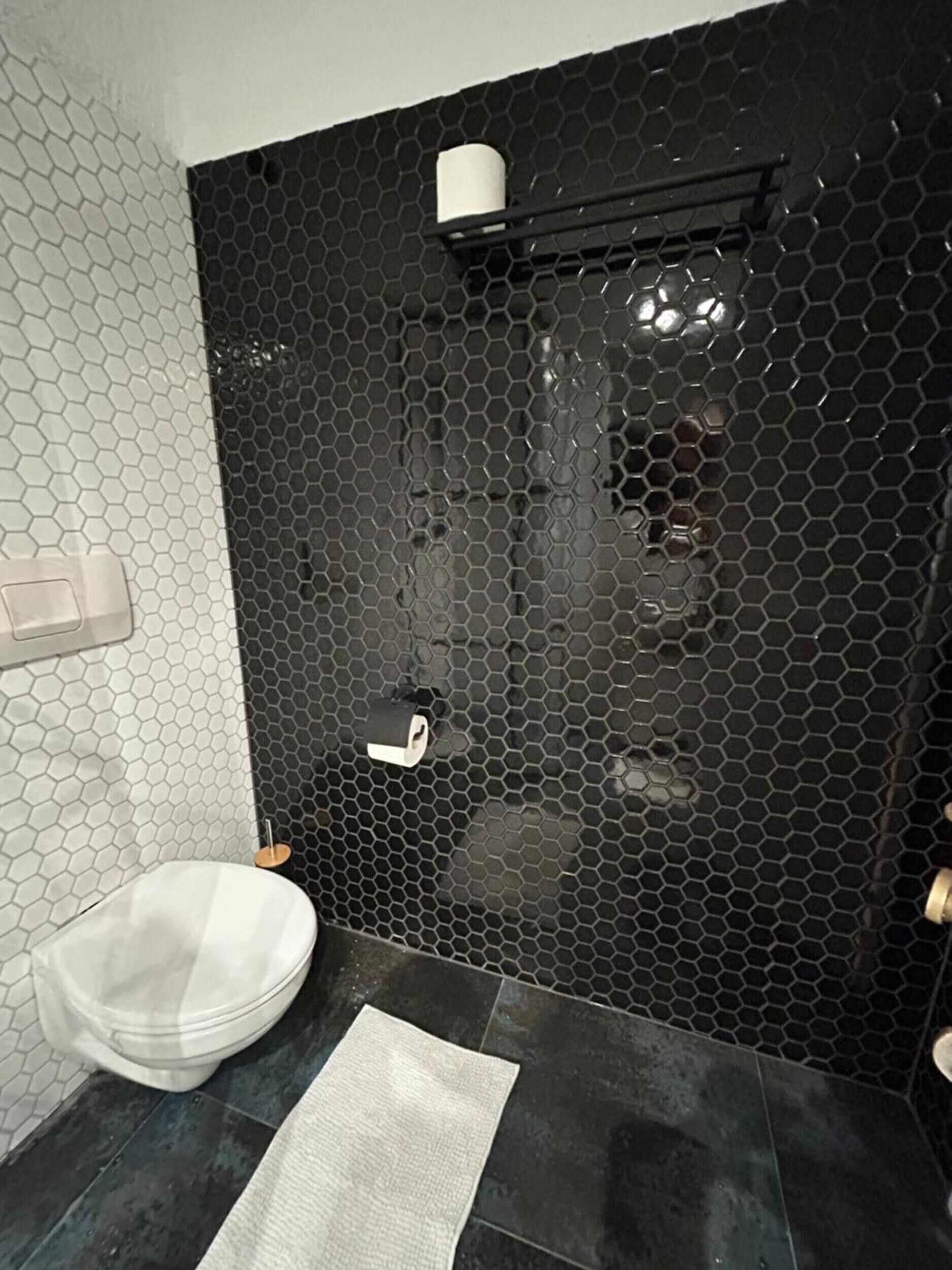 Shower, hair dryer, towels, toilet paper