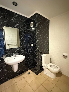 Hair dryer, soap, toilet paper