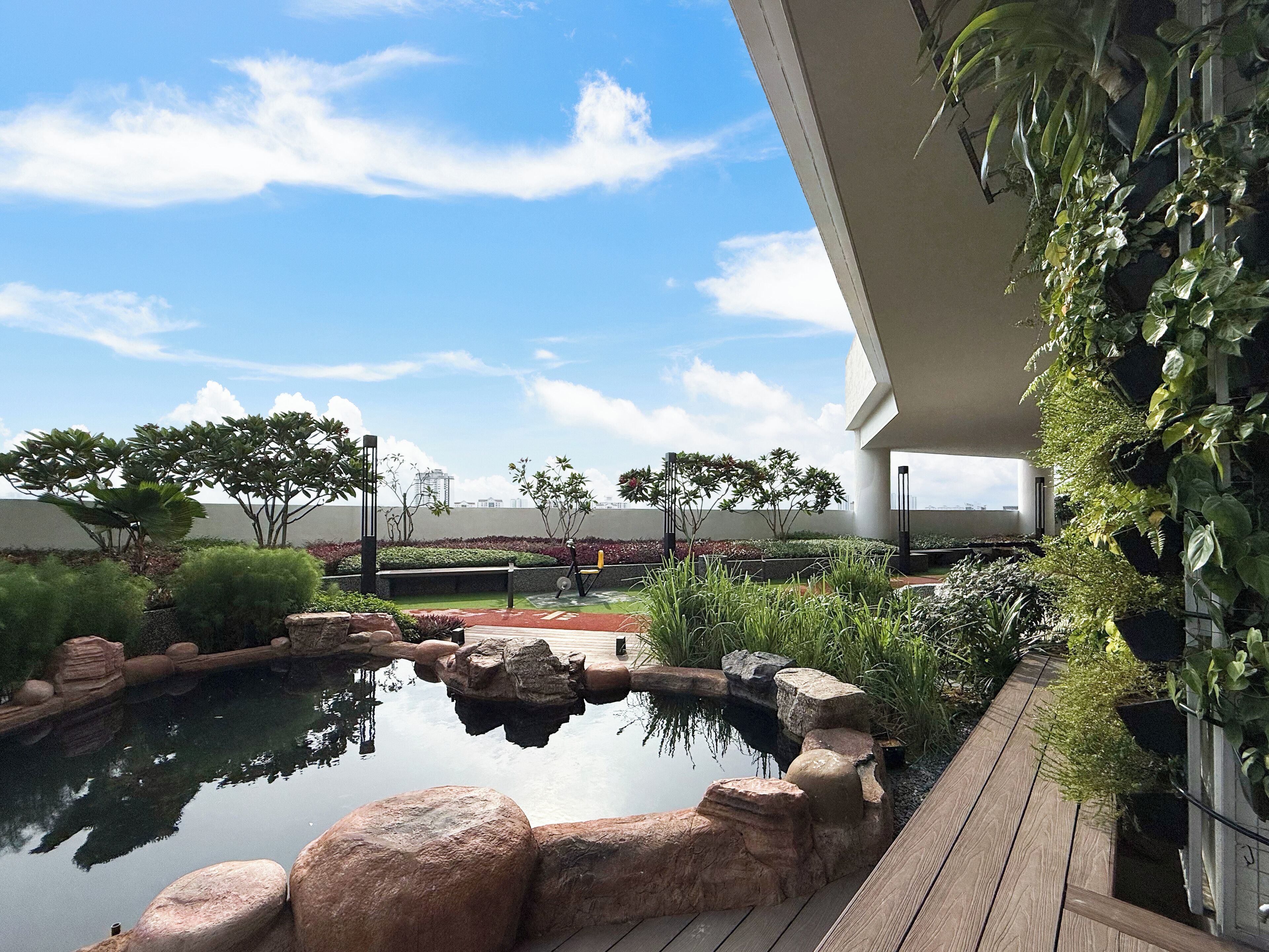 A rooftop garden with a small pond, potted plants, and a wooden deck.