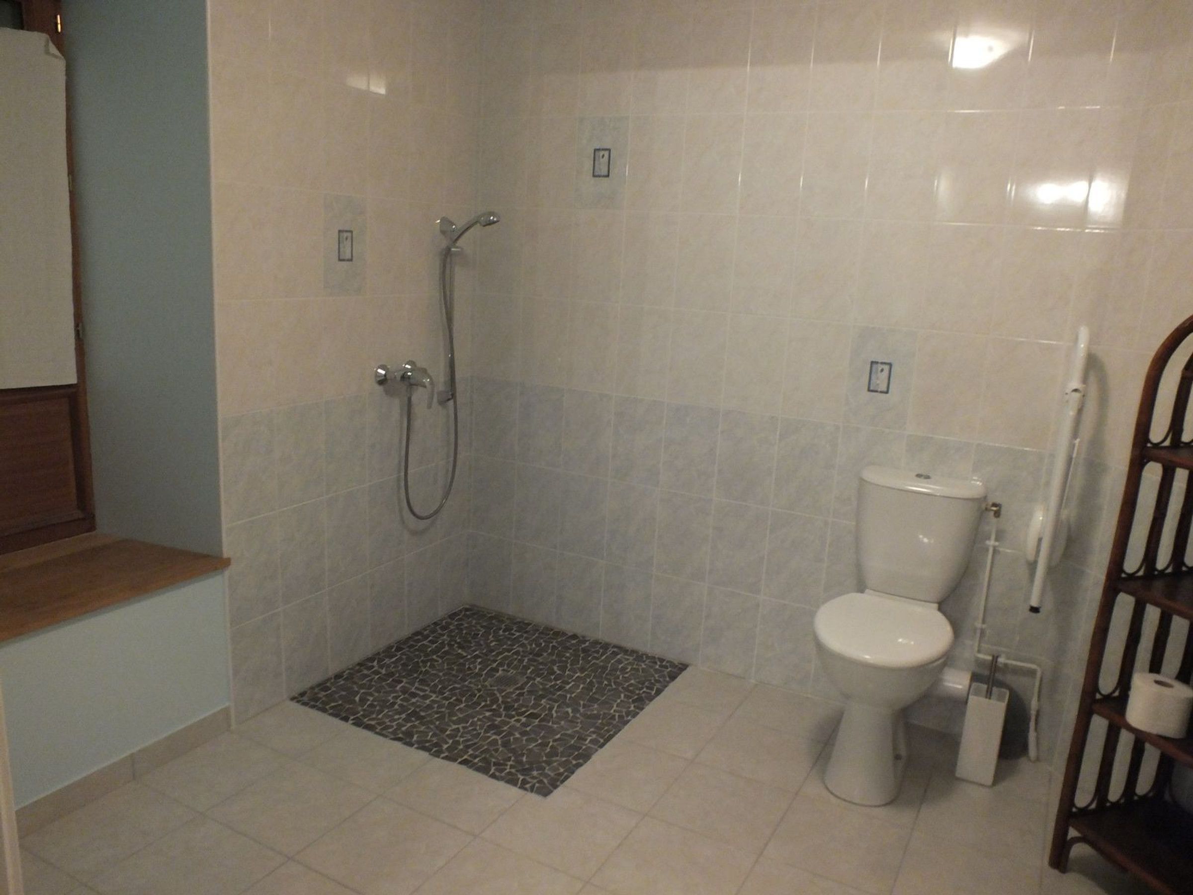 A bathroom with a shower, toilet, and a small rug.
