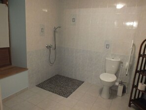 Une salle de bain avec une douche, des toilettes et un petit tapis.