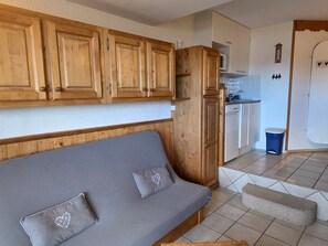 تلفزيون، مدفأة