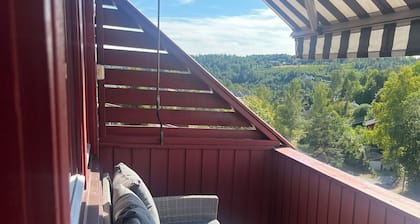 Charming 1-bedroom apartment in brilliant Akershus with all innclude