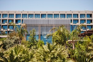 Un edificio moderno con piscina, rodeado de palmeras y vegetación.