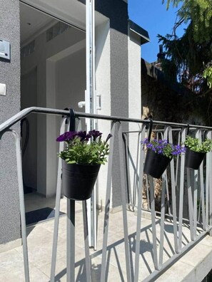 Detalle exterior