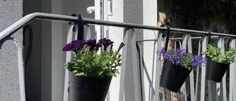 Detalle exterior