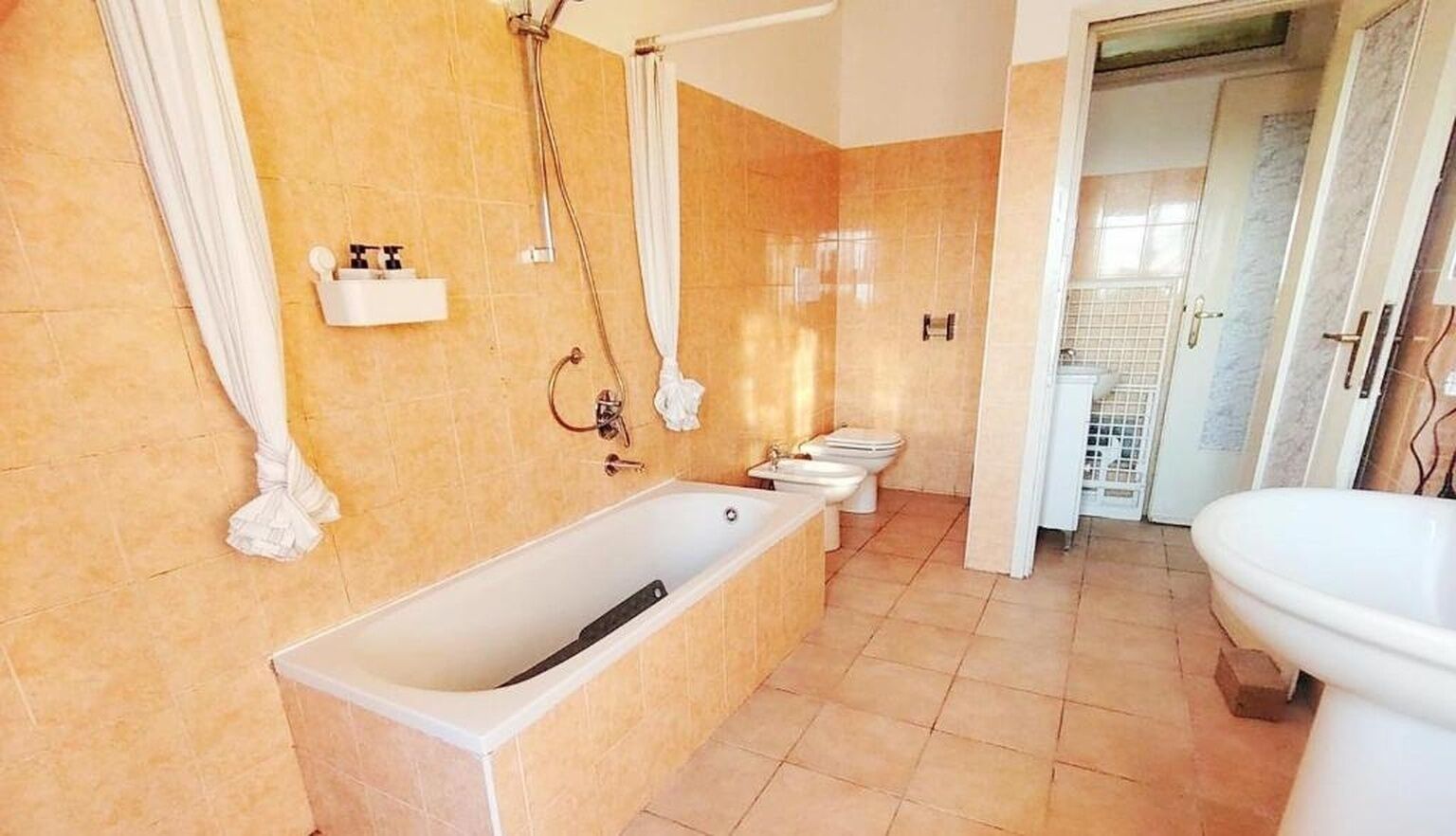 吹风机、坐浴桶、毛巾、肥皂