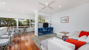 Televisión y libros