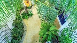 Un sendero estrecho bordeado de plantas verdes y una palmera, que conduce a una cama con una colcha estampada.