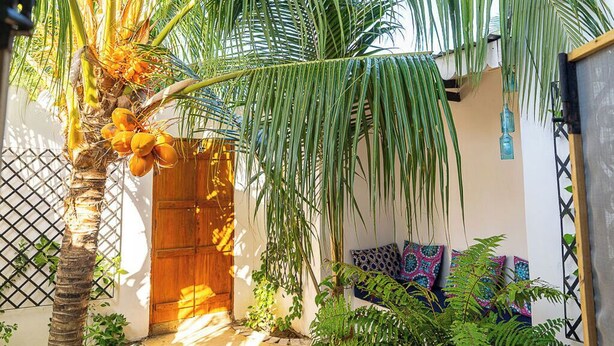 Un patio con una palmera, una puerta de madera y una zona de estar con cojines de colores.