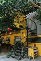 Una escalera de caracol en un interior amarillo con una planta colgante.
