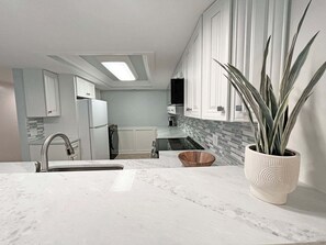 Een keuken met witte kastjes, een marmeren aanrechtblad, een spoelbak, een koelkast, een vaatwasser en een potplant.
