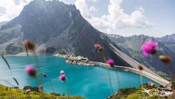 公寓 | 1 間臥室